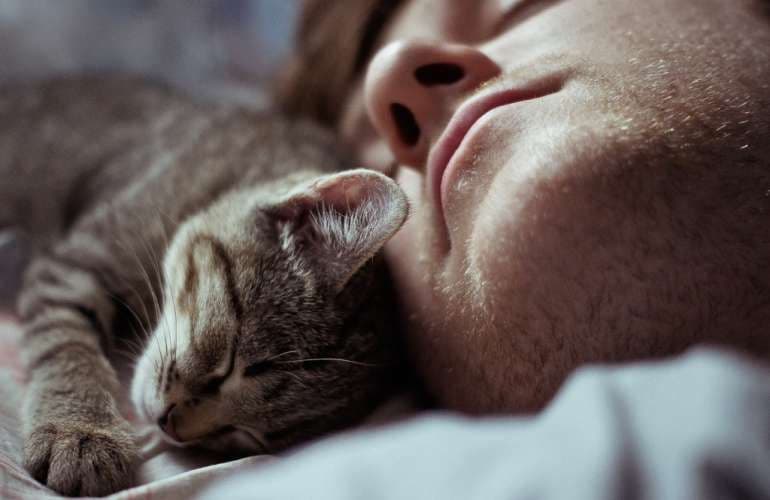 Чем опасно спать вместе с домашними питомцами